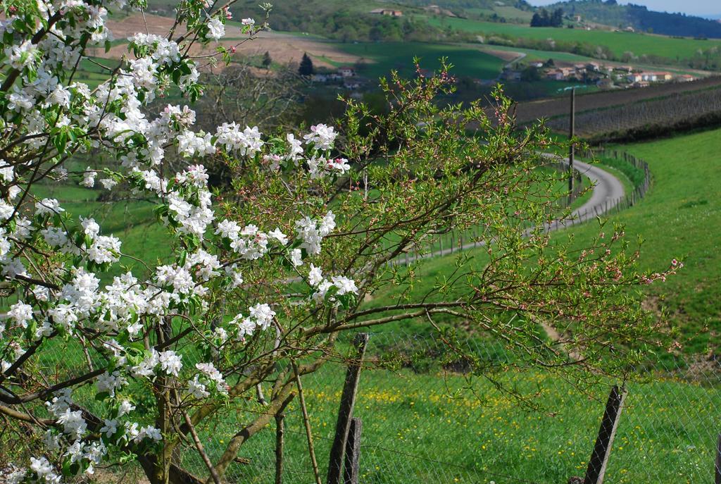 Готель La Ferme Berger Les Ardillats Екстер'єр фото